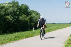 D0011